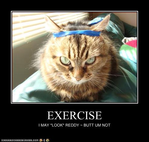 Funny Fitness Cat