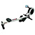 Commercial Grade Rowing Machines