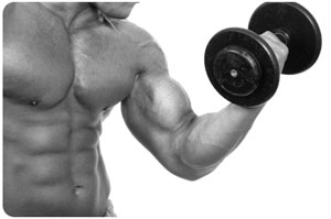 Gain 10 Pounds of Muscle