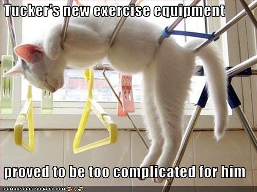 new exercise equipment