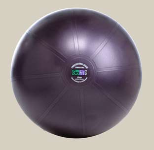 GoFit Professional Grade Burst Resistant Ball - 65CM Purple